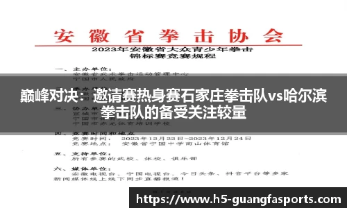 巅峰对决：邀请赛热身赛石家庄拳击队vs哈尔滨拳击队的备受关注较量